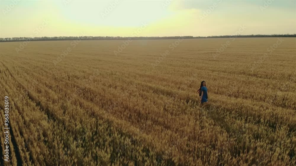 Aerial view of young girl runs across field. Beautiful free woman enjoying nature in warm sunshine in wheat on sunset background. Happy and successful lifestyle concept Aerial view of young girl runs across field. Beautiful free woman enjoying nature in warm sunshine in wheat on sunset background. Happy and successful lifestyle concept