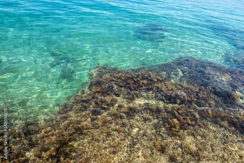 skalista plaża chorwacja dalmacja, piękne widoki © Arkadiusz