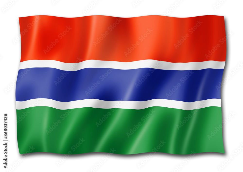 Gambian flag isolated on white Gambian flag isolated on white
