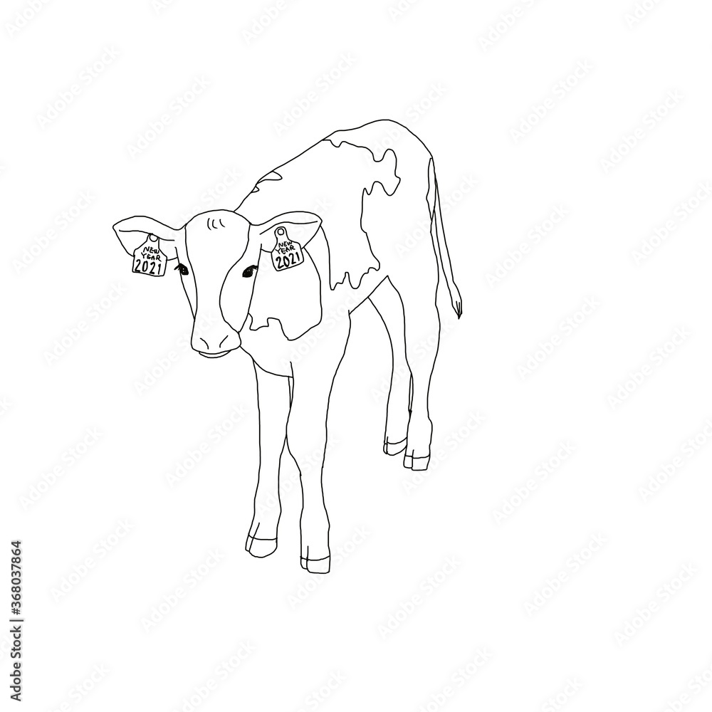 calf, cow, zodiac, illustration,2021 calf, cow, zodiac, illustration,2021