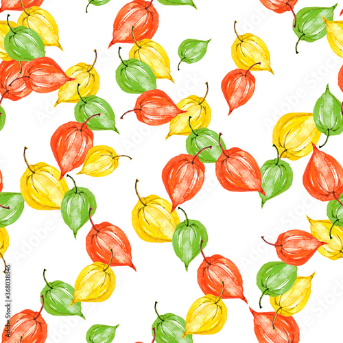 Fototapeta Naklejka Na Ścianę i Meble -  watercolor physalis seamless pattern. autumn berry illustration. botanical background. Seamless pattern with hand drawn watercolor physalis. Autumn background.