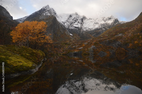 Autumn colors and reflections in the Norwegian fjords and mountains over Lofoten, Norway