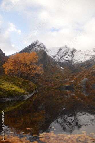 Autumn colors and reflections in the Norwegian fjords and mountains over Lofoten, Norway