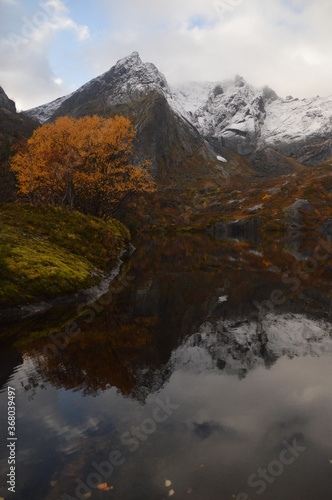 Autumn colors and reflections in the Norwegian fjords and mountains over Lofoten, Norway