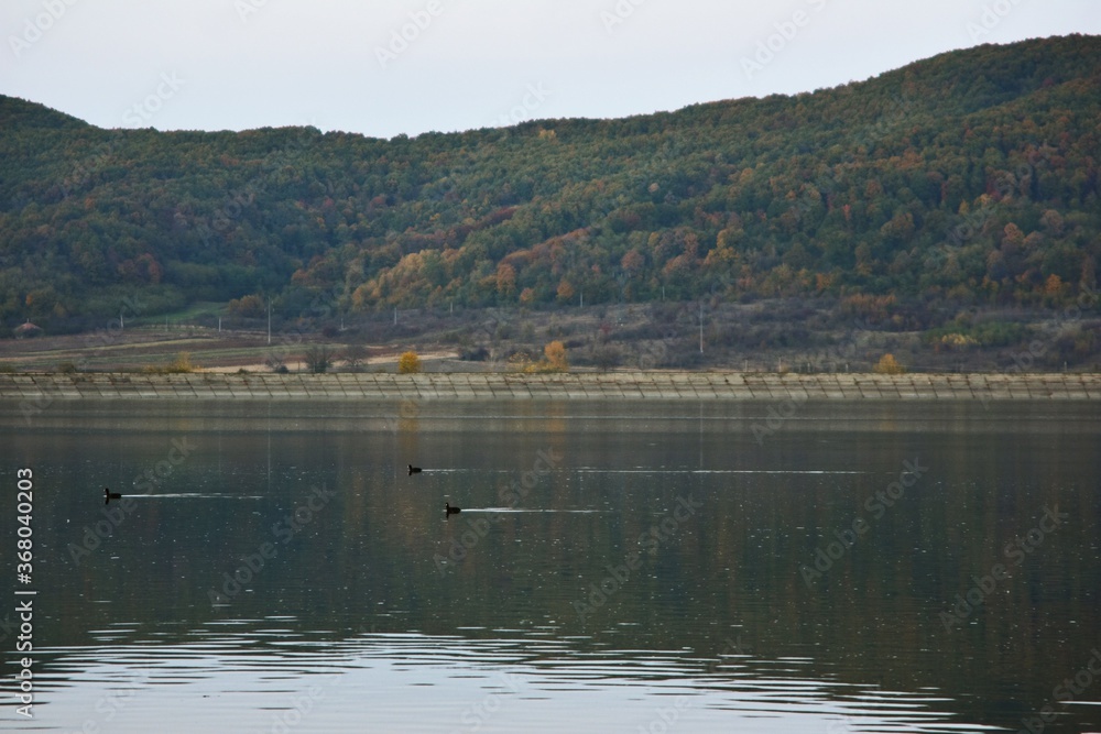 green forest reflected in the lake in summer