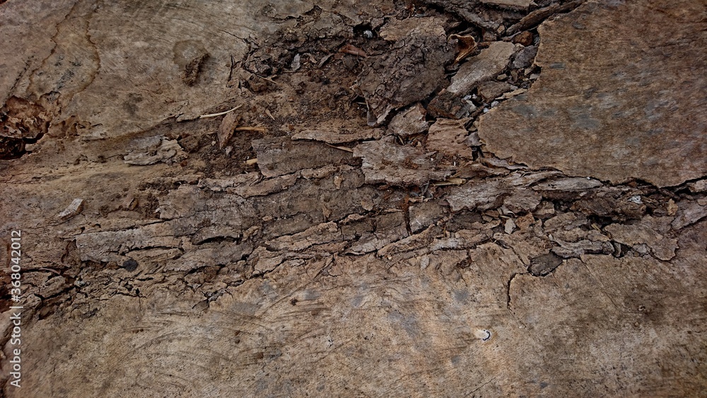 The texture of the kapok wood board is damaged The texture of the kapok wood board is damaged
