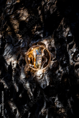 Wedding rings on the wood of the forest. Close up photo of the rings in outdoors.