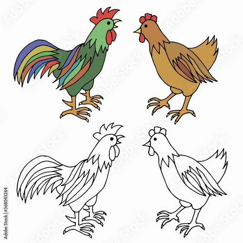Hen, cock, rooster, chiken vector hand drawn illustration. Farm bird on the white background