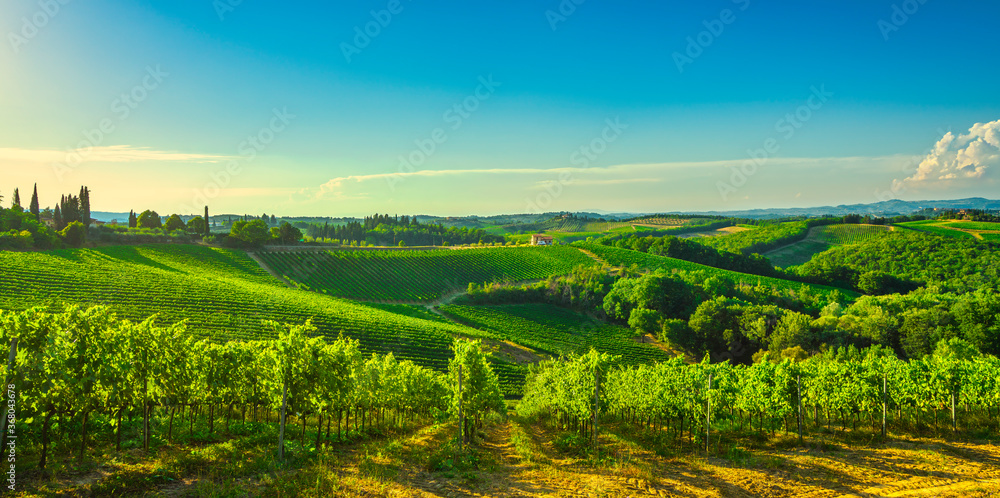 Panoramic view of chianti and vernaccia vineyards. San Gimignano. Tuscany, Italy