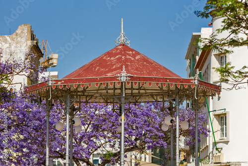 jacaranda tree and bandstand in iron gazebo designs in Faro, Algarve, Portugal