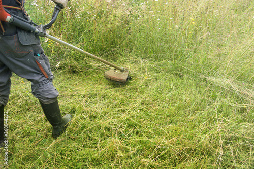 Landscapers men gardeners cutting grass with string lawn trimmers, summer time