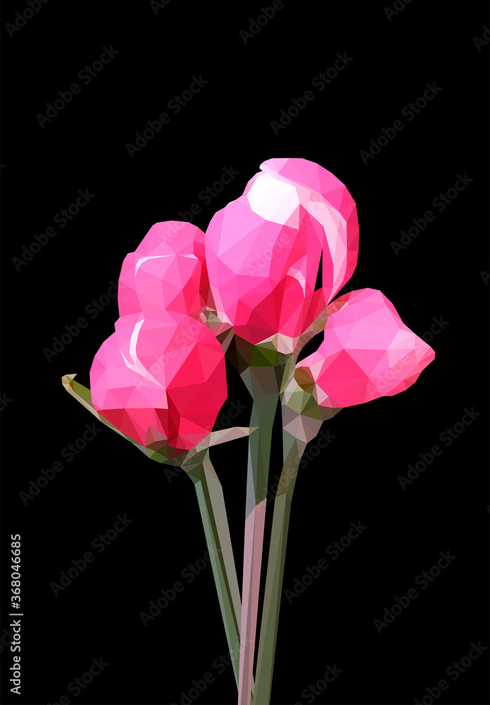 Obraz premium Vector single rose flower isolated on black background. Bright sunny spring or summer detailed and accurate design in low poly style. Floral design element.