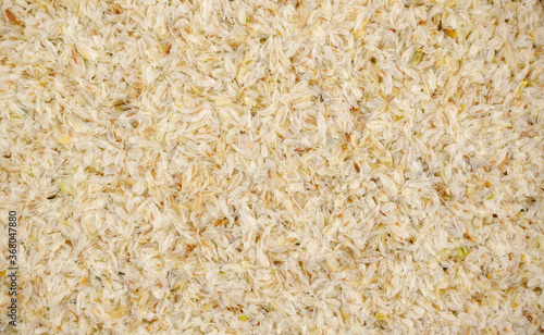 Psyllium (Ispaghula) Seed Husk Background. Dietary Fiber Food Supplement.