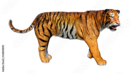 3D Rendering Big Cat Tiger on White
