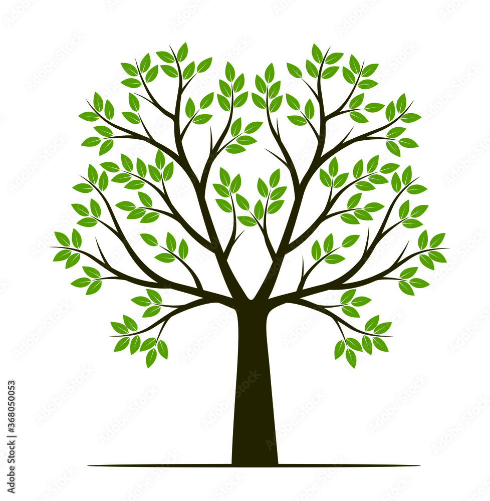 Shape of Tree with leaves, fruits and Roots. Vector outline Illustration. Plant in Garden. Shape of Tree with leaves, fruits and Roots. Vector outline Illustration. Plant in Garden.