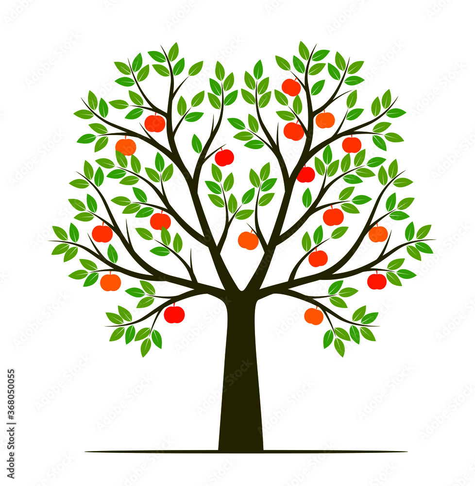 Naklejka Shape of Tree with leaves and fruits. Vector outline Illustration. Plant in Garden.