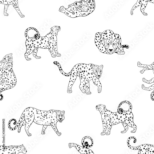 Seamless pattern of hand drawn sketch style leopards isolated on white background. Vector illustration.