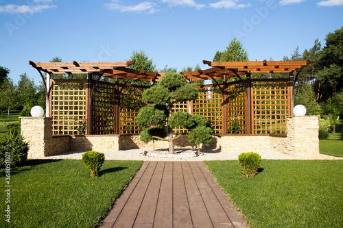 Pergola in the park