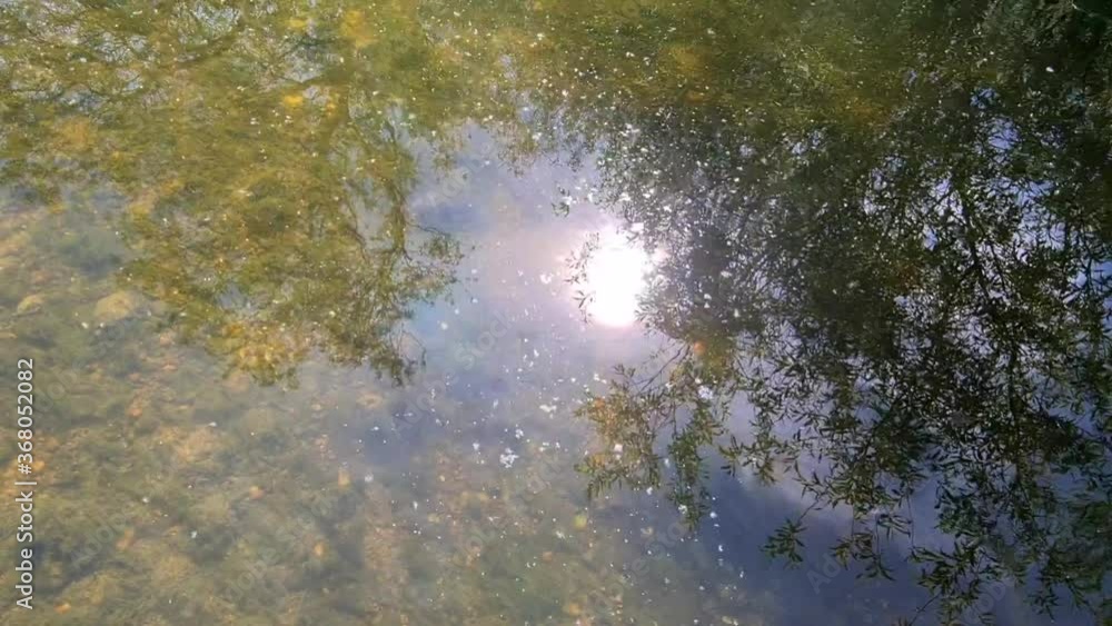A fast flowing stream A fast flowing stream