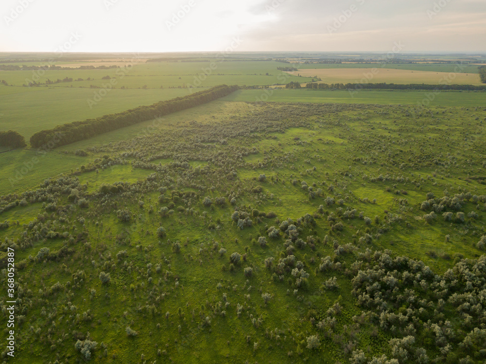 Aerila drone view. Agricultural fields in Ukraine.