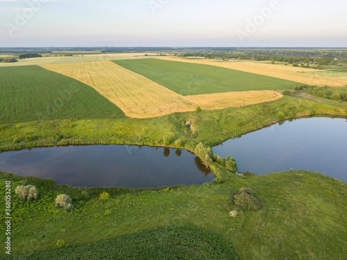 Aerial drone view. A field of ripening wheat and corn in Ukraine near the lake.