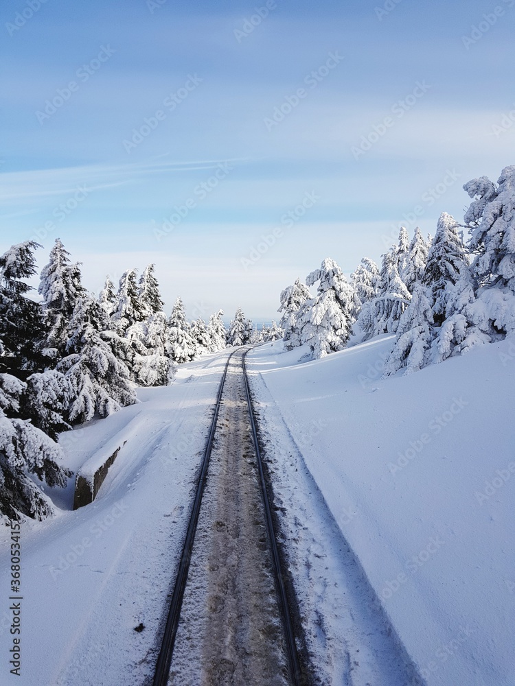 Snow train tracks