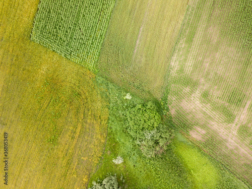 Aerila drone view. Agricultural fields in Ukraine.
