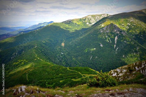 Zielone stoki Tatr Zachodnich, Słowacja photo