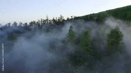 Drone view of foggy pine trees at Windows at the Guimar (ThoUSAnd Windows hike), Tenerife, Canary Islands photo