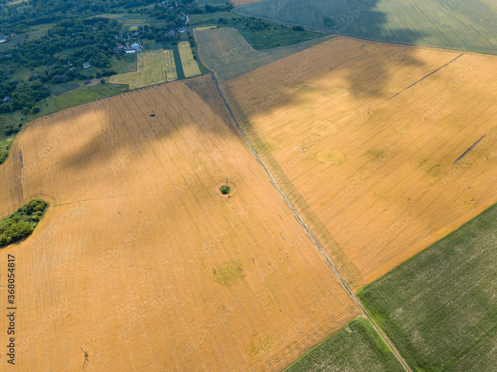 Agricultural fields of ripe wheat in the Ukrainian village. Aerial drone view.
