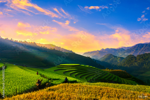 Cuadro en lienzo mu cang chai in viet nam