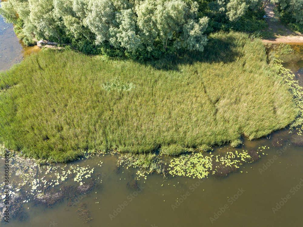Aerial drone view. Tall grass by the river.