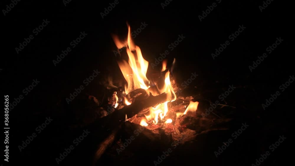 Fire in nature. Background Inside the bonfire. Firewood. Night. Fire in nature. Background Inside the bonfire. Firewood. Night.