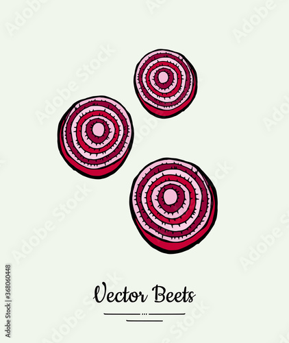 Beet slices vegetable vector isolate. Red sliced beetroot. Vegetables hand drawn illustration. Trendy food vegetarian sweet purple beetroot icon logo poster banner sketch. Vector illustration isolated