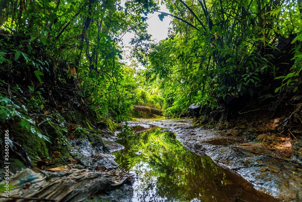 Obraz premium #River 