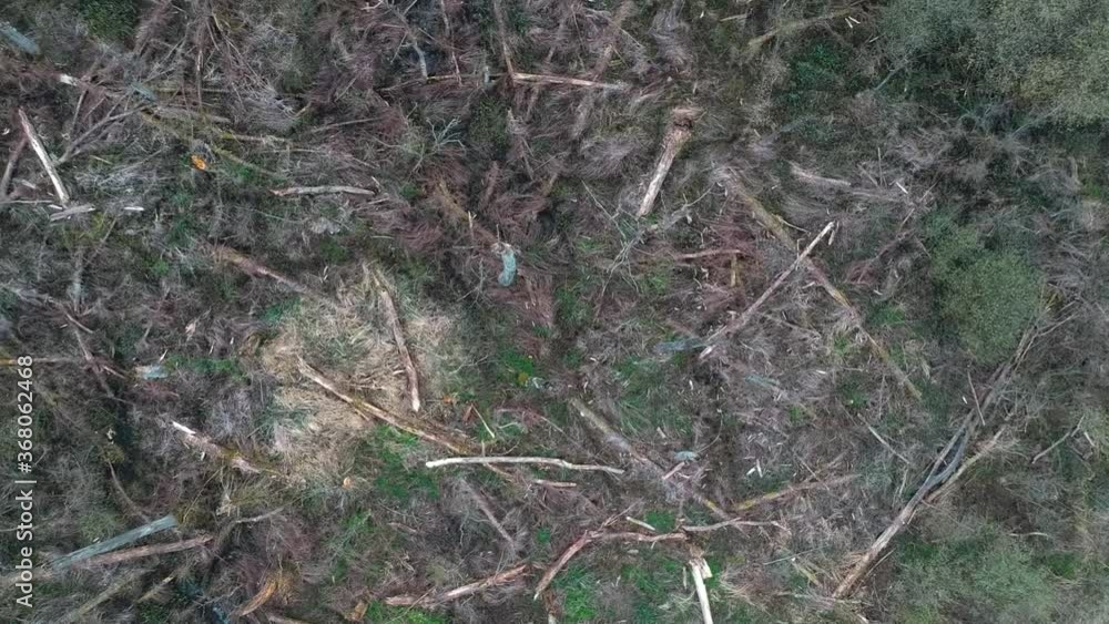 Dramatic Aerial Shot of Deforestation in Northern Europe. Dramatic Aerial Shot of Deforestation in Northern Europe.