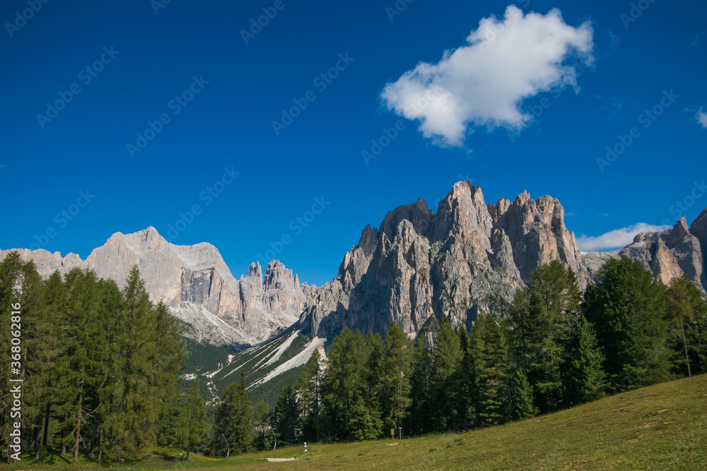 Summer view of Catinaccio chain mountain in Trentino