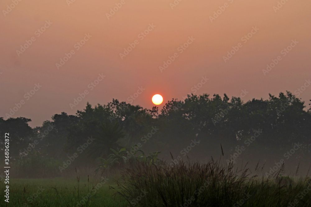Obraz premium A beautiful sunrise of a winter morning a stunning moment .