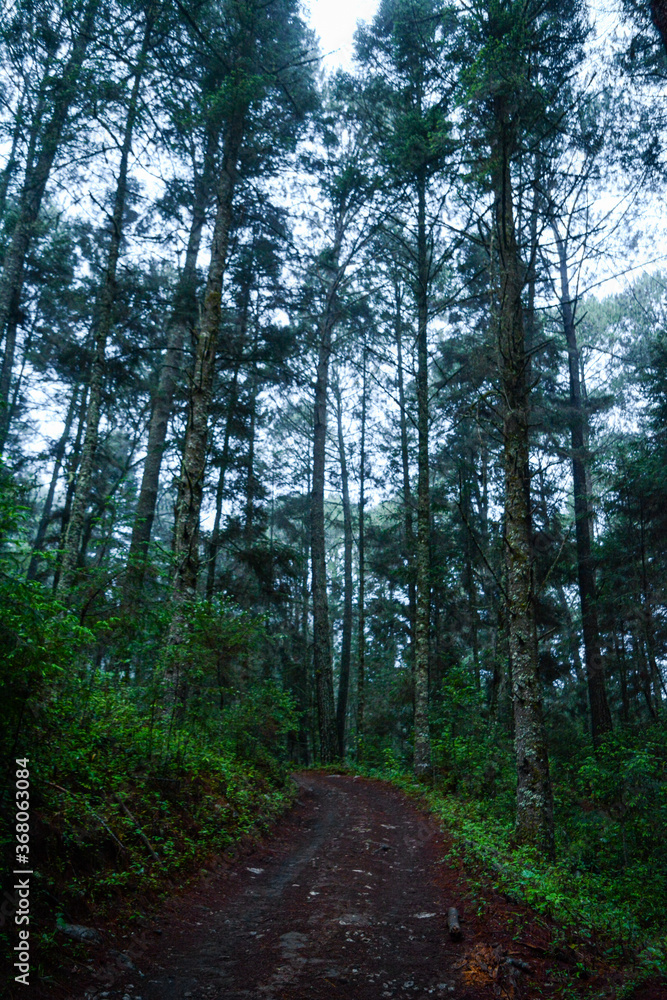 Obraz premium MANANTLAN