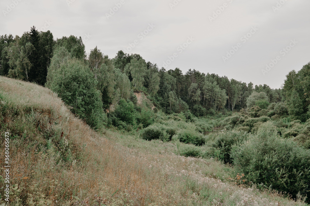 road in the mountains in summer