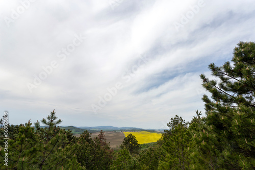 Hiking path in the woods near the village of Zsambek, Hungary photo