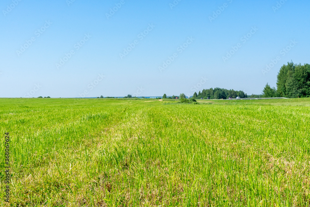 rural landscape of central Russia. mowed field on a summer sunny day