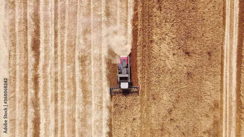 Aerial view The combine harvester threshes the ripe wheat on the field, top view Aerial view The combine harvester threshes the ripe wheat on the field, top view