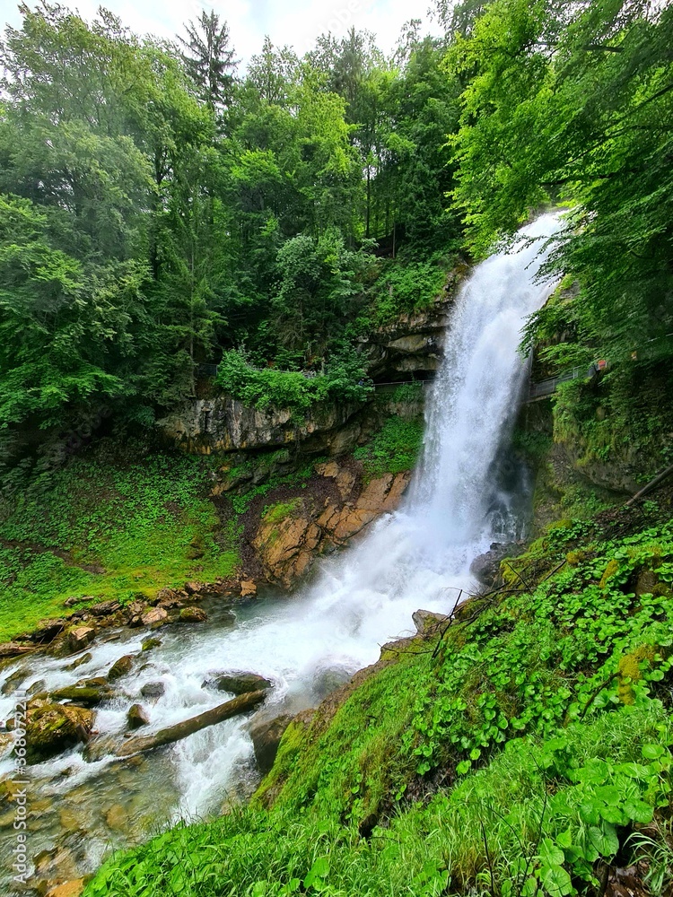 waterfall in the woods