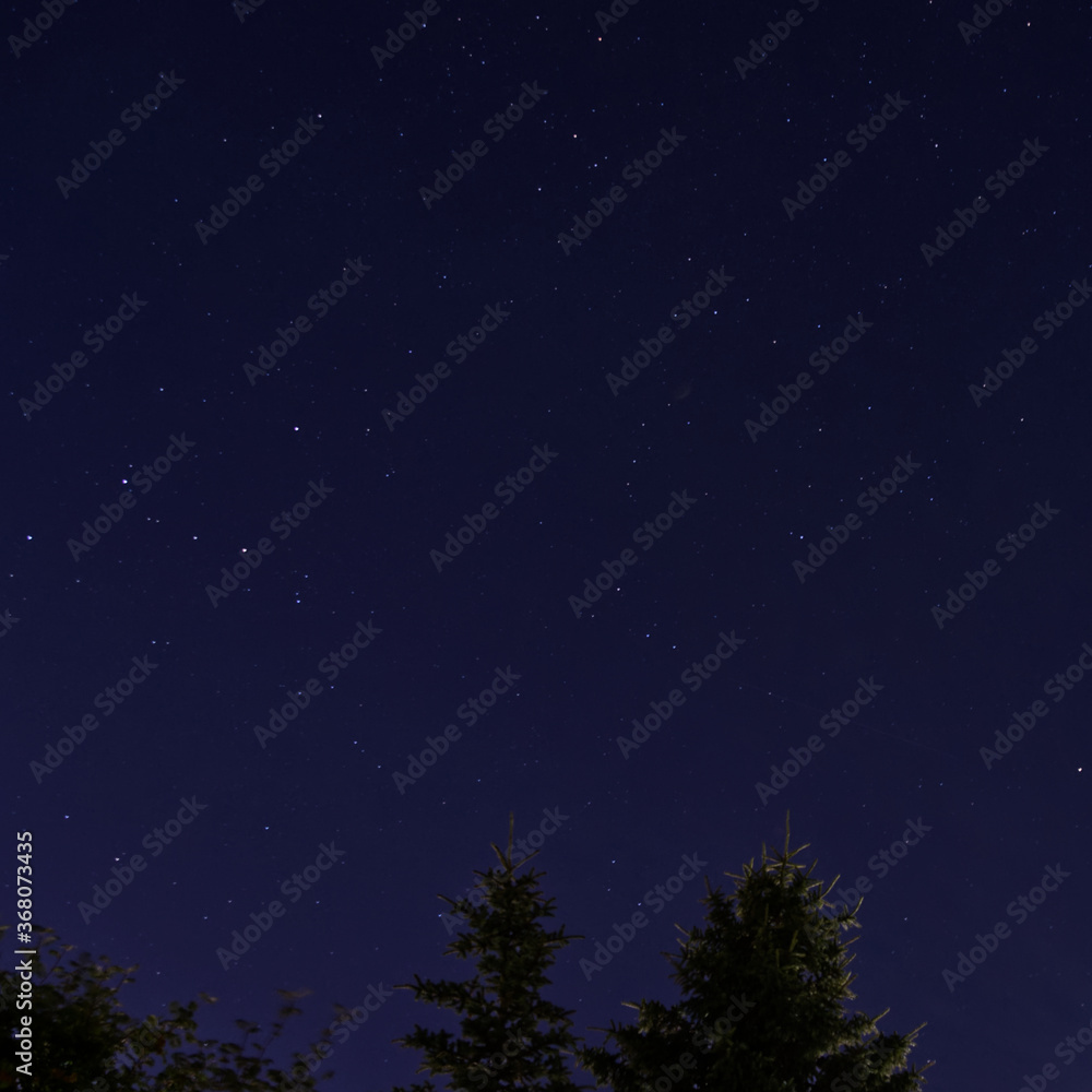Fototapeta premium Night Sky with Stars