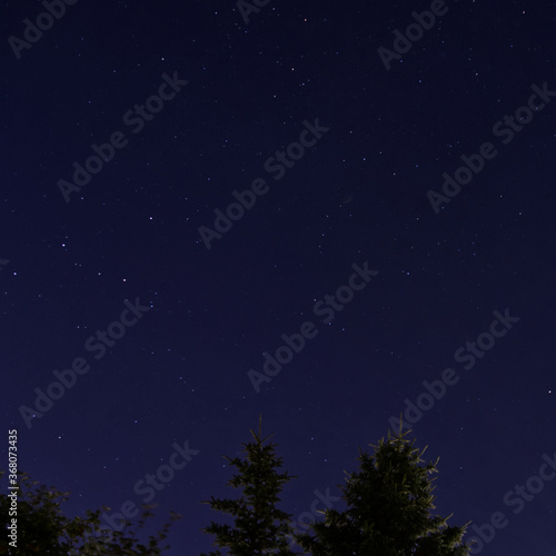Fototapeta Naklejka Na Ścianę i Meble -  Night Sky with Stars