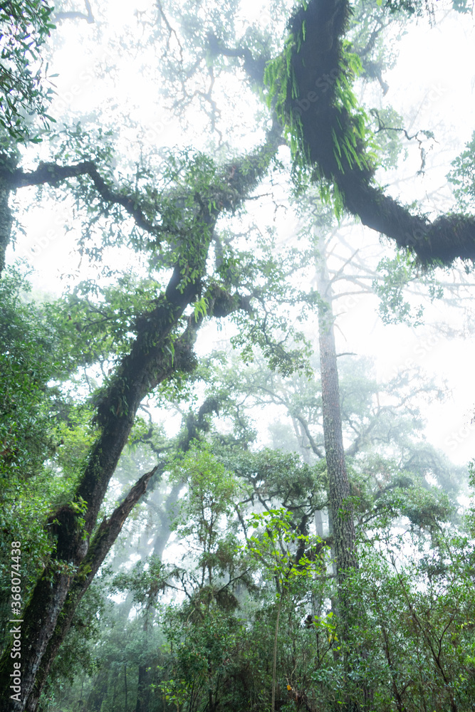 Naklejka premium el terrero