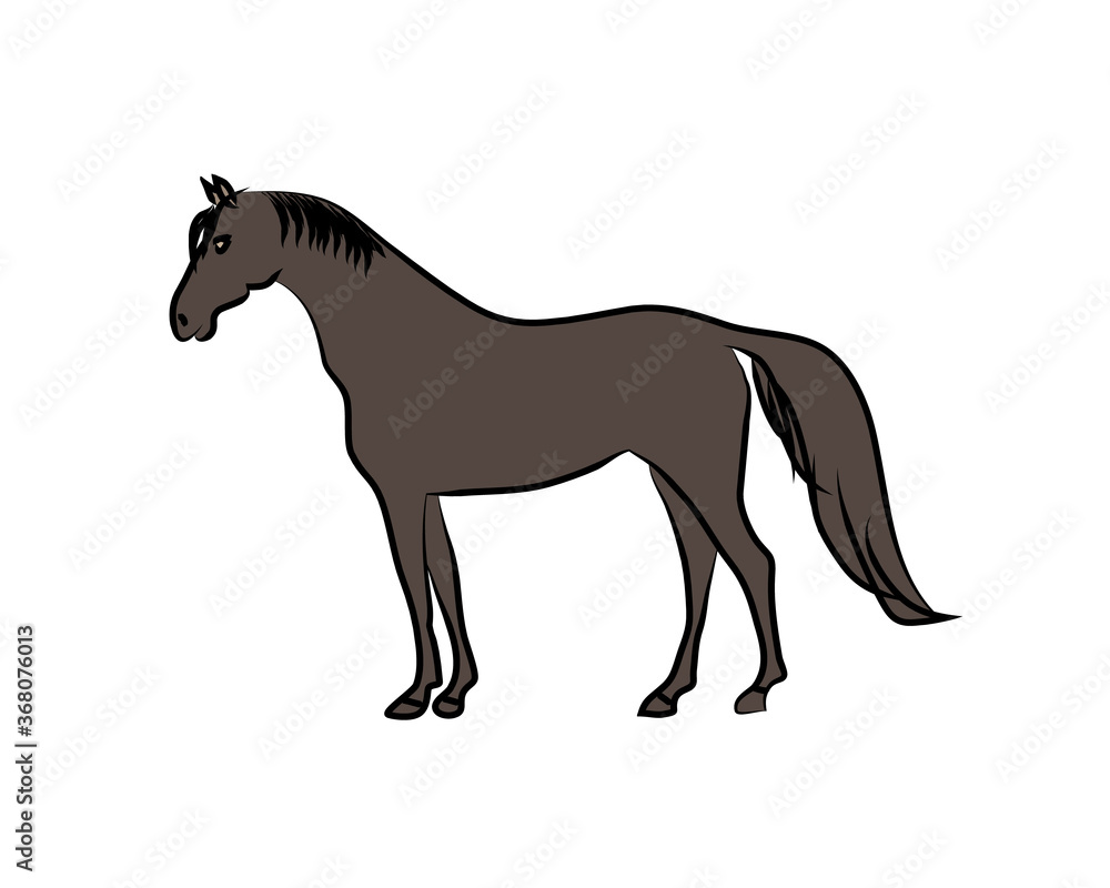 Fototapeta premium Bay sport horse isolated on white background