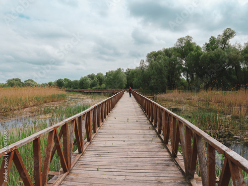 Girl walking on the wooden pathway above swamps and water surface of Kopacki Rit national park in continental Croatia