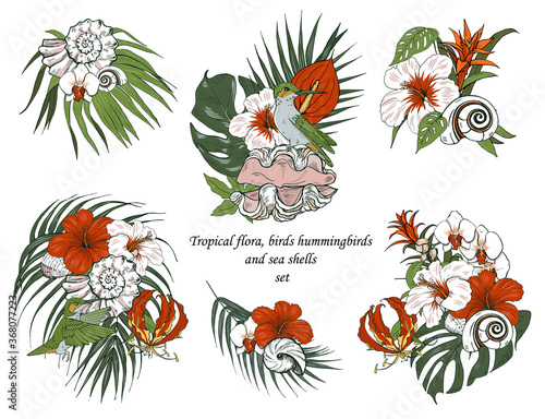 Tropical flora, Hummingbird birds and seashells set, design compositions of tropical flowers, leaves and shells, vector illustration